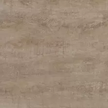 Керамогранит LeeDo - Rosewood Palissandro Salice POL 60x60 см, полированный (Pallissandro Salice POL 60x60)