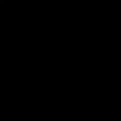 Плитка напольная Polcolorit Saloni Universal Nero