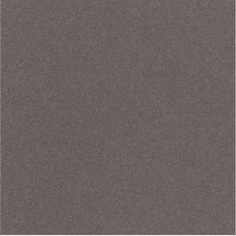 Керамогранит Cooperativa Ceramica D Imola Parade PRTU 120DG LV