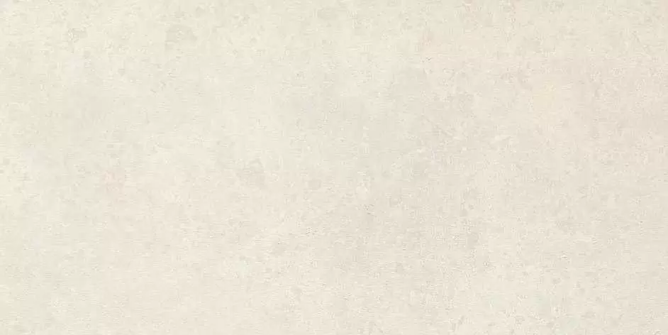 Керамогранит Rex Ceramiche Pietra Del Nord Bianco soft 40x80 ret