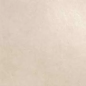 Керамогранит Ariana Ceramica Materia Corda 60X60