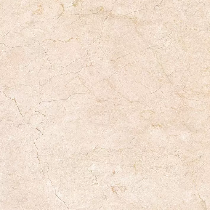 Плитка из керамогранита Palermo GFU04PLR04R для пола 60x60