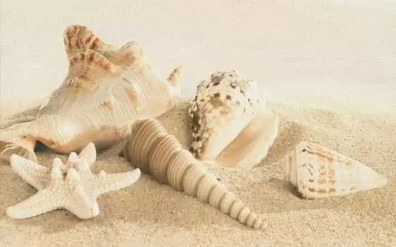 Декор настенный Gracia Ceramica Amalfi Dec. Sand 1