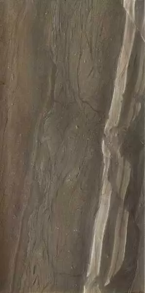 Керамогранит Fioranese Claystone Dark Lapp