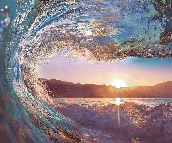 Панно настенное Ceradim Surf Dec Panno из 6-х шт
