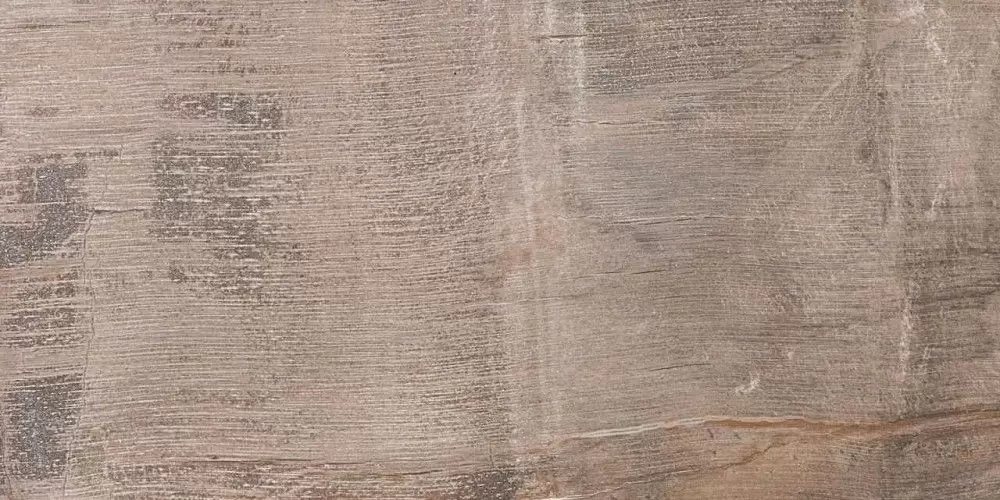 Керамогранит ABK Fossil Brown nat. 30x60