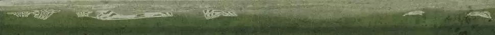 Бордюр настенный Cifre Alchimia Torello Olive