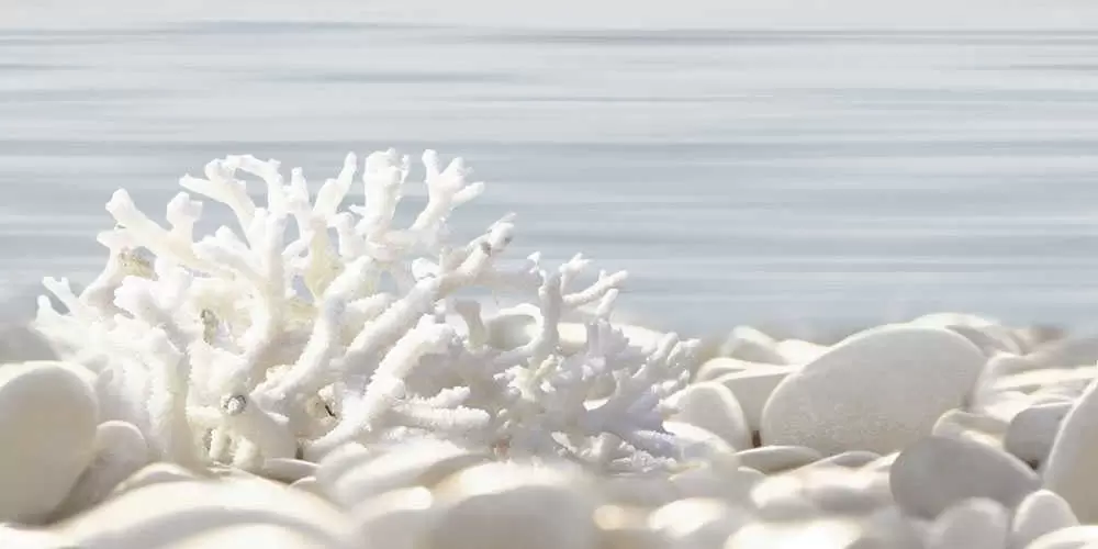 Декор настенный Alma Ceramica Del mare Коралл