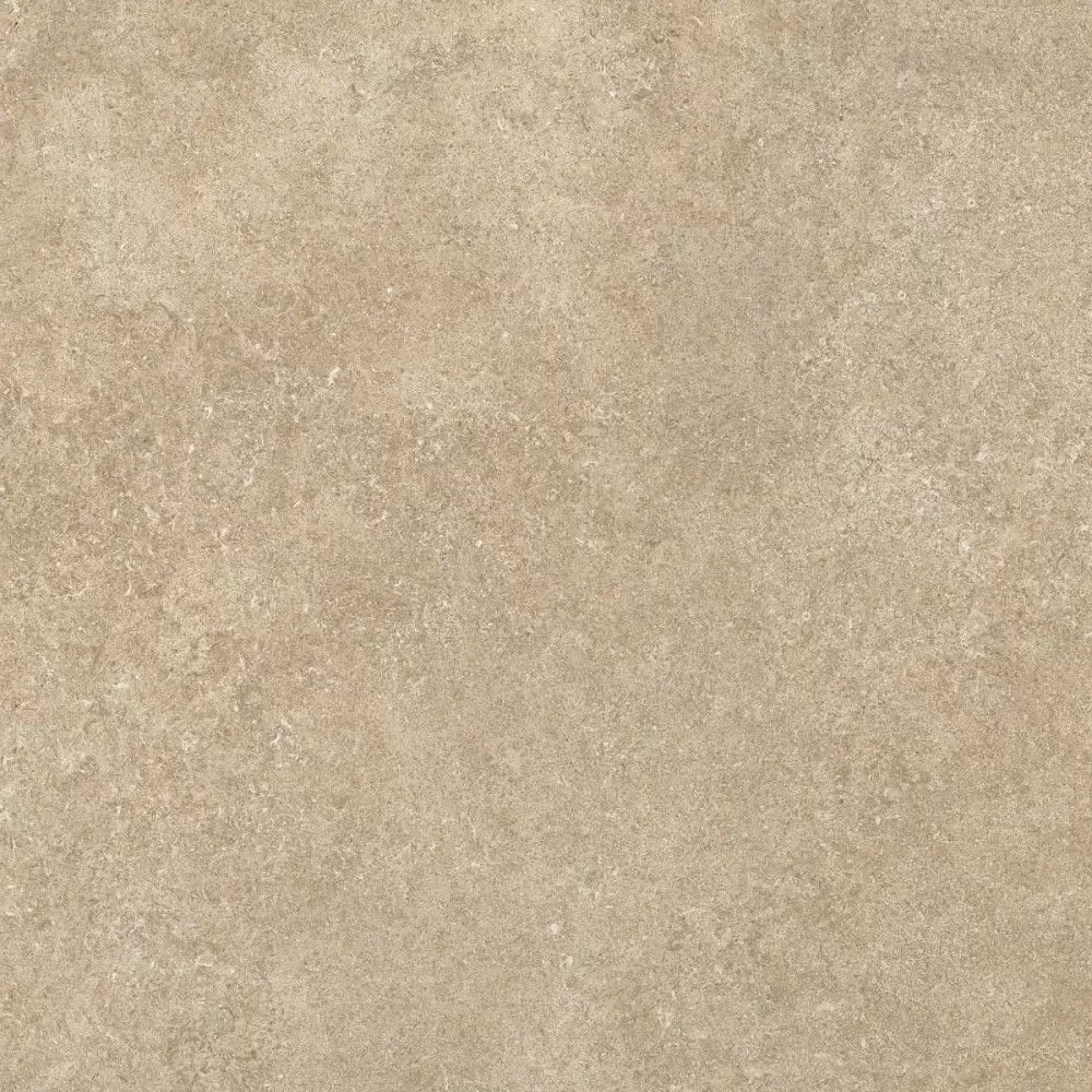Керамогранит Baldocer Ozone Bone & Taupe Taupe 60