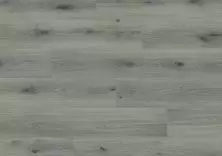 Дуб цветочный