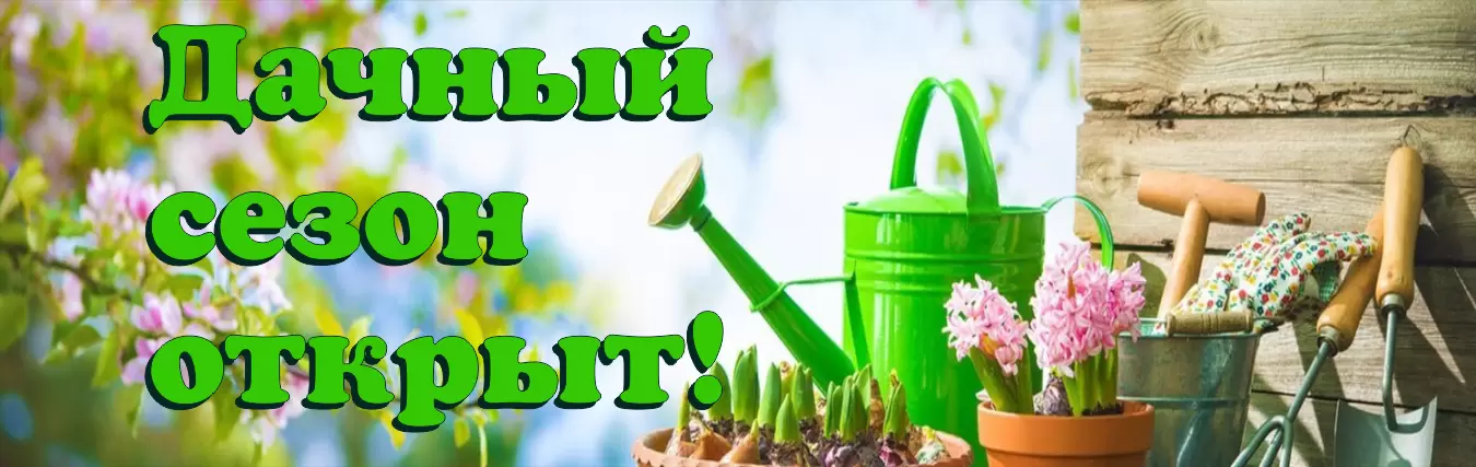 Дачный сезон открыт!
