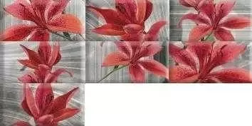 Декор настенный Absolut Keramika Monocolor 75x150 Biselado Mix Flowers RBW
