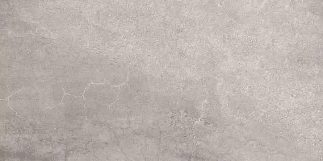 Керамогранит Arcana Avenue Gris 60x30