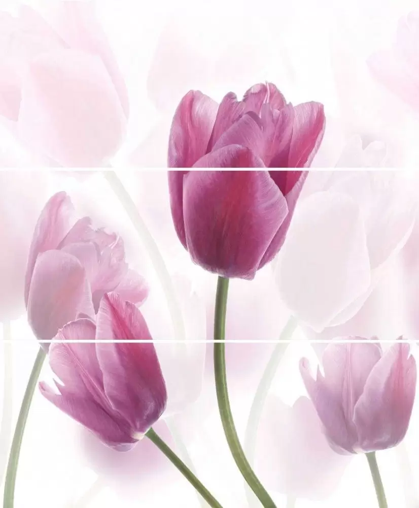 Панно настенное Cerrol Imperia Tulipany x3