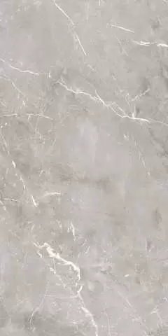 Керамогранит Ariana Ceramica Epoque Grey Ret 60X120