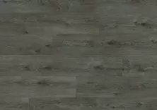 Дуб Авеню
