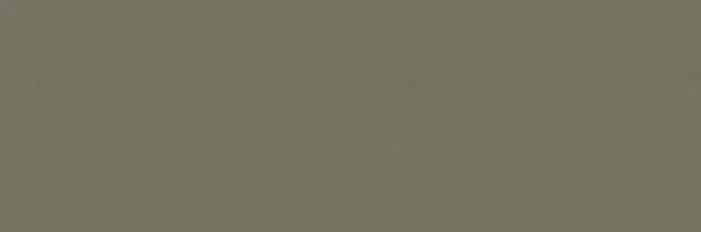 Плитка настенная Italon Element Silk Терра 25x75 Матовая