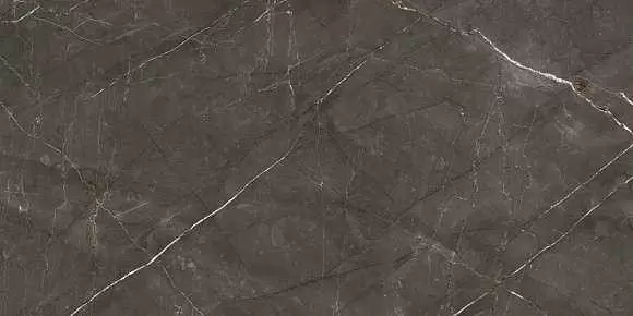 Керамогранит Ariostea Marmi Classici Pulpis Grey Luc