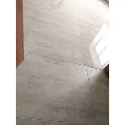 Керамогранит LeeDo - Rosewood Palissandro Beige POL 60x60 см, полированный (Pallissandro Beige POL 60x60)