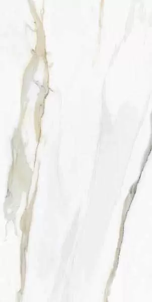 Керамогранит Tau Ceramica Emporio Pulido 60x120