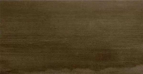 Керамогранит Stylnul Evolve Brown mt rect. 60