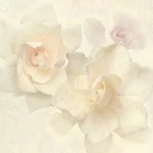 Панно настенное Pamesa Dante Alobras Pack-2 Decor