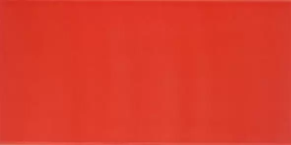 Керамическая плитка AGATHA CARMIN для стен 25x50