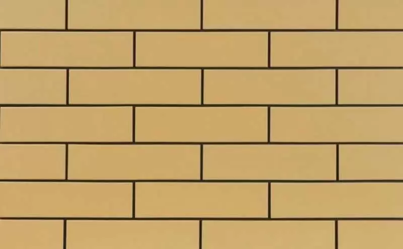Декоративный камень Cerrad Earth Sandy