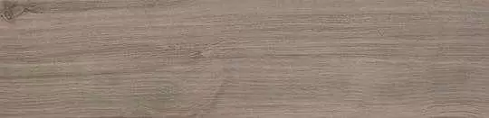 Керамогранит Atlas Concorde Italy Etic Rovere Grigio 22.5