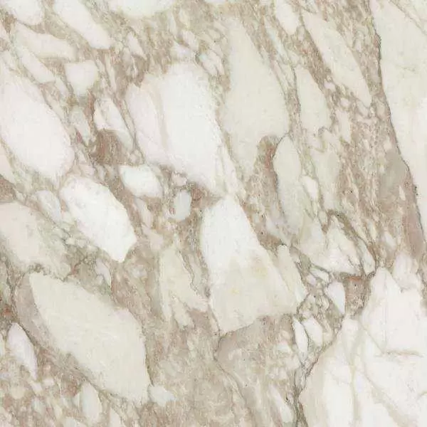Керамогранит Rex Ceramiche I Bianchi Calacatta nat.60x60