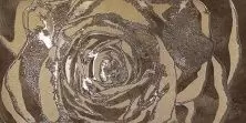 Плитка из керамогранита EXPLORA Dec Omnia bronze Декор 60x120