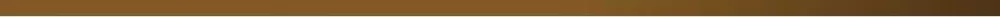 Бордюр настенный Pamesa Lemnos Moldura Metal Bronce Brillo 1.5x100