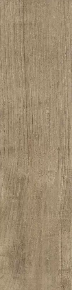Керамогранит Ragno Woodstyle Acero 30