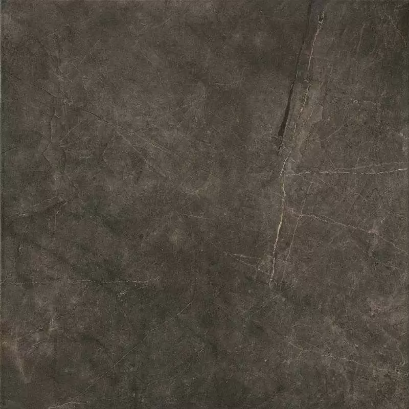 Керамогранит Ecoceramica Montecoto Marron Bright 60.8