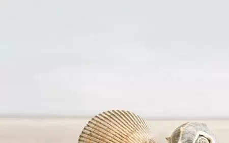 Декор настенный Golden Tile Summer Stone Holiday 1