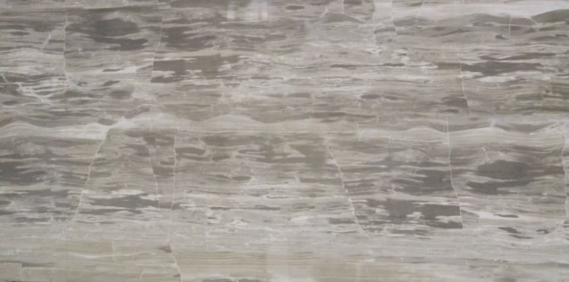 Viktoria Taupe CSAVITAU12 Универсальная плитка 60x120