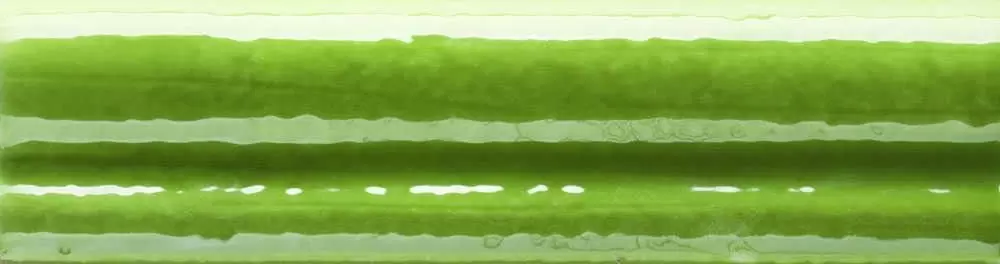Бордюр настенный Mainzu Calabria Pistacho 2