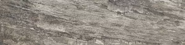 Керамогранит Emil Ceramica Petrified Tree Grey bark rett