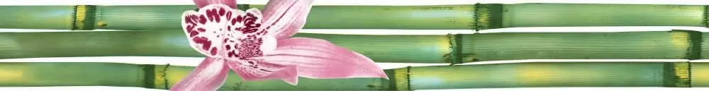 Бордюр настенный Cerrol Formula Canas De Bambu Listwa A