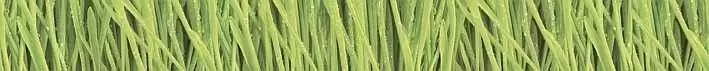 Бордюр настенный Cerrol Porto snowdrop Cen. listwa
