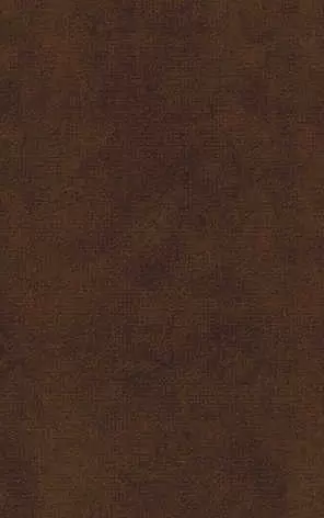 Плитка настенная Ceramica Classic Galatia branch Terracotta
