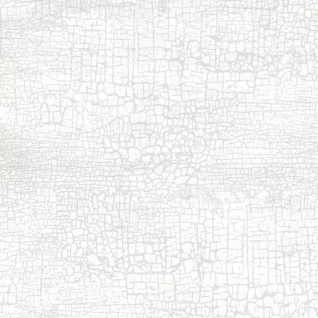 Плитка из керамогранита Creta Blanco GP6CRE00 для пола 41x41