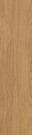 Керамогранит Atlas Concorde Italy Etic Pro Rovere Venice Grip