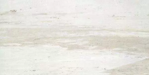 Керамогранит Rex Ceramiche I Bianchi Palissandro luc.30x60