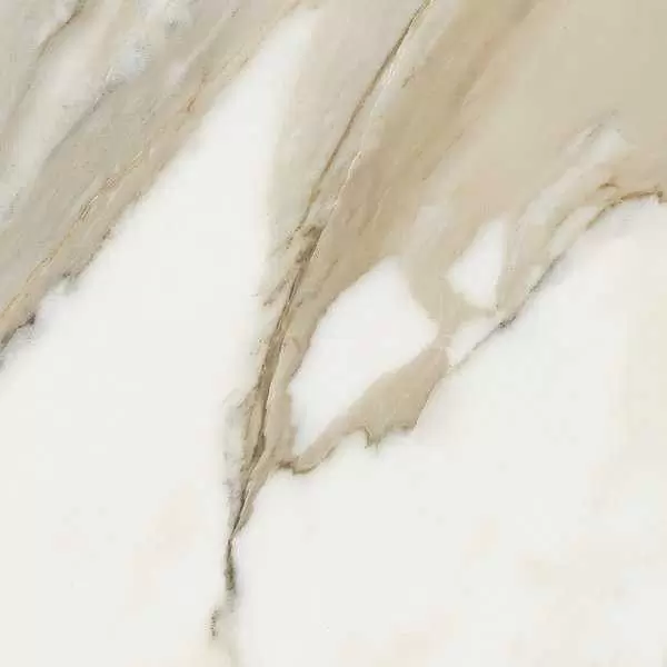 Керамогранит Fanal Calacatta Pav Calacatta 60x60