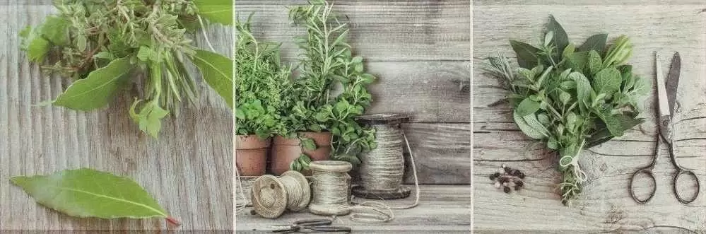 Декор настенный Ceramica Konskie Salerno Кухня стекло 3