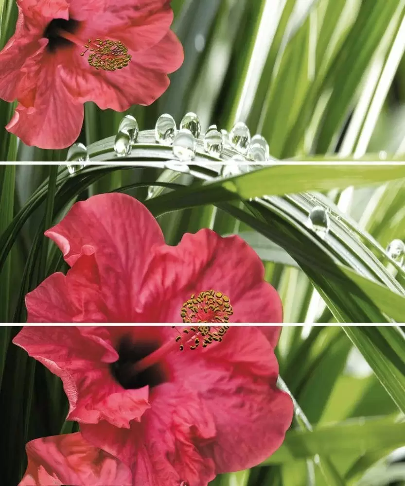 Панно настенное Cerrol Imperia Hibiskus x3