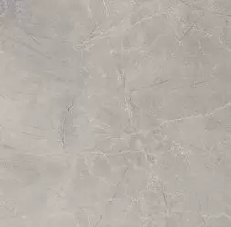Керамогранит Baldocer Bplus 120x120 Bayona Silver Pulido