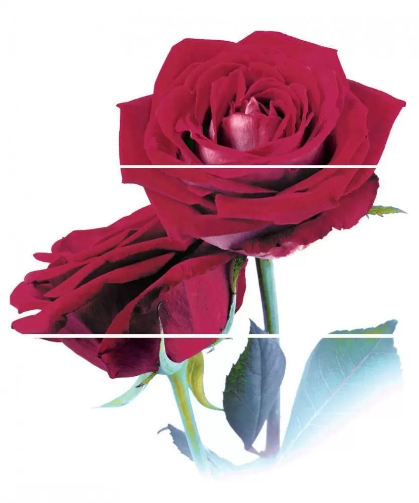Панно настенное Cerrol Imperia Rosarium-2 x3