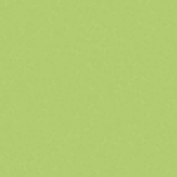 Керамогранит Atlas Concorde Italy Greencolors Lime 20